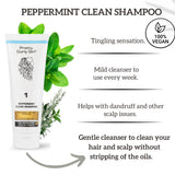 Peppermint Clean Shampoo 100ml Tube | Pretty Curly Girl Curly girl method | Vegan curly products | Krullen | Krullend haar | Curly hair products | Curly girl approved